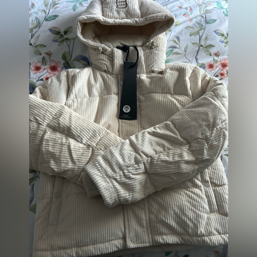 NWT Aritzia Super Puff Shorty in Cushcord - Picture 2 of 5